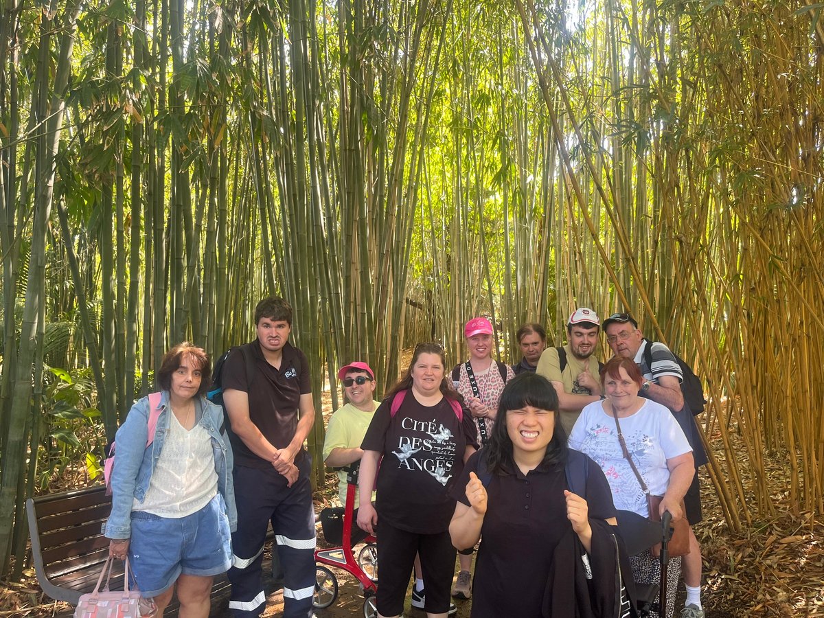 Group of people standing together on a wooden path in a tall bamboo forest